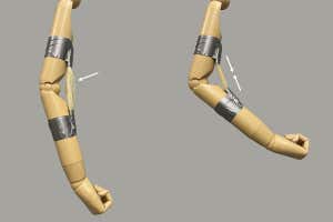 El músculo artificial hecho de polímero de memoria estirado se contrae al calentarse, doblando el brazo de un maniquí